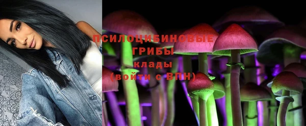 мяу мяу мука Сясьстрой