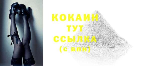 2c-b Тайга