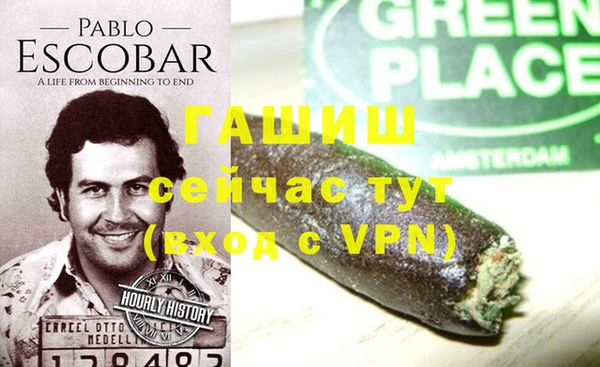 2c-b Тайга
