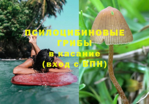 мяу мяу мука Сясьстрой