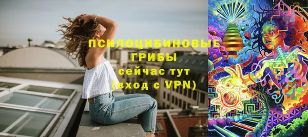2c-b Тайга
