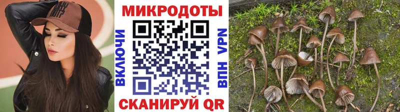 Купить  Канск  Галлюциногенные грибы Magic Shrooms 